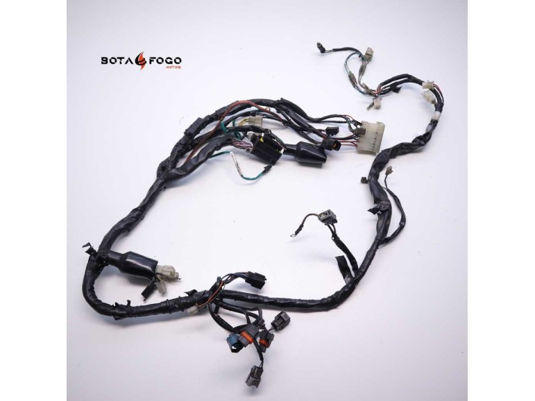 Cableado Daelim Roadwin 125 2007-2016 E3B0088