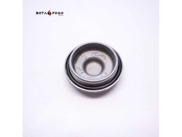 Tapon    Yamaha Virago 250 1996 M3A0741