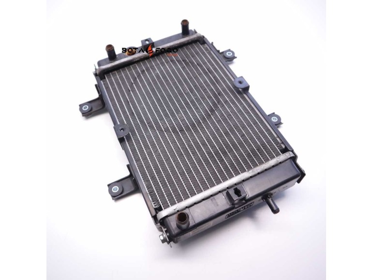 Radiador    SYM GTS 125 250 2007 M3A0833 U02787-02000 HMA +M/F / AAM210000134