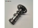 YM40K1M3A0462