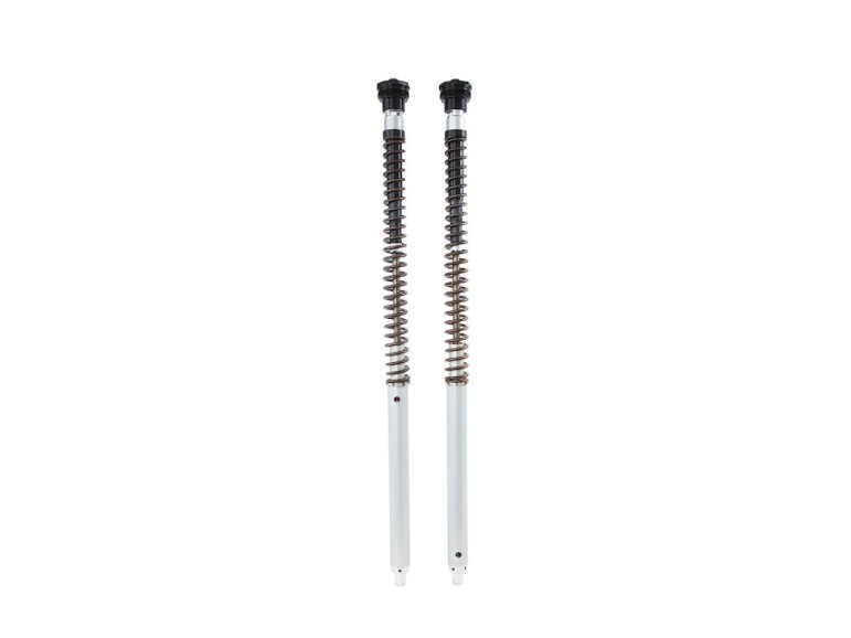 Öhlins Cartucho de horquilla NIX22 Suzuki SV 650 2006 (horquilla Showa)