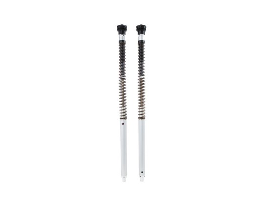 Öhlins Cartucho de horquilla NIX22 Suzuki SV 650 2006 (horquilla Showa)