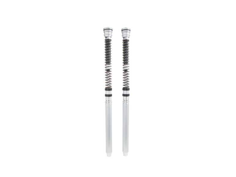 Öhlins Cartucho de horquilla TTX25S Ducati Panigale V4 S 2022-25 / V4 R 2022-26