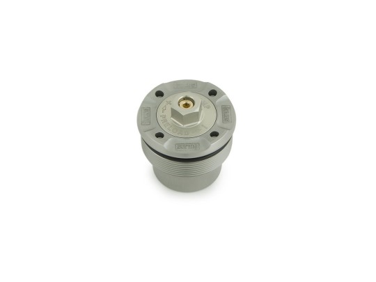 Öhlins Cartucho de horquilla NIX30 Ducati Panigale R/S 1199 (Öhlins FG 925) 2012-2014
