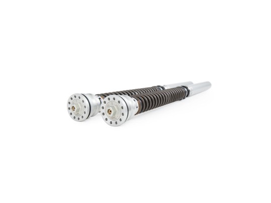Öhlins Cartucho de horquilla TTX25S Ducati Streetfighter V2S / V2S Panigale 2025-