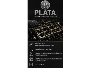 CURSO PLATA — Mecánica y Diagnóstico de Motos
