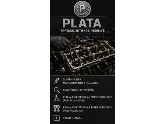 CURSO PLATA — Mecánica y Diagnóstico de Motos